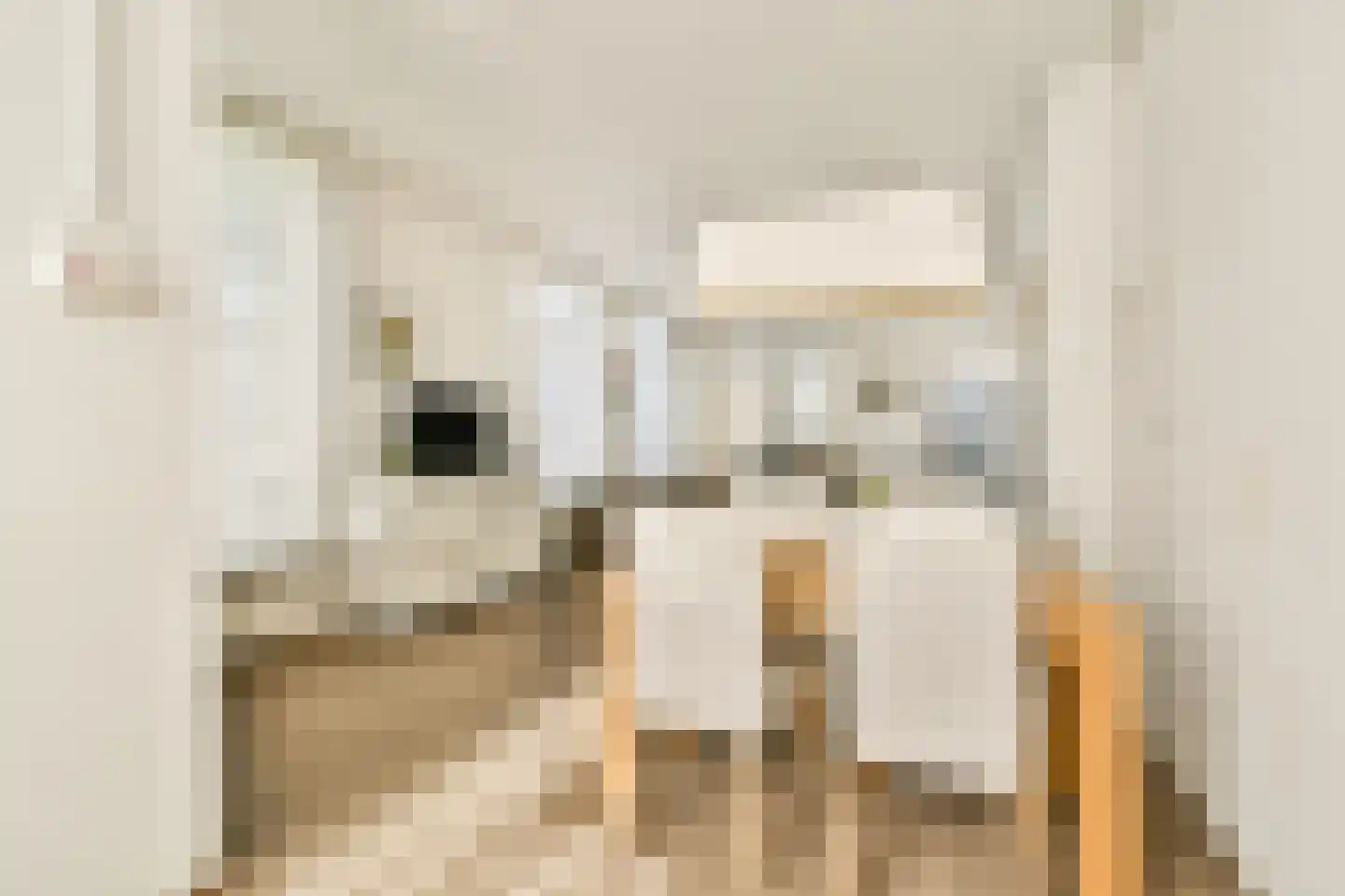 Mauritsstraat 10 Leiden thumbnail 9