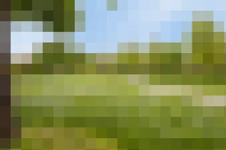 Mauritsstraat 10 Velp thumbnail 24