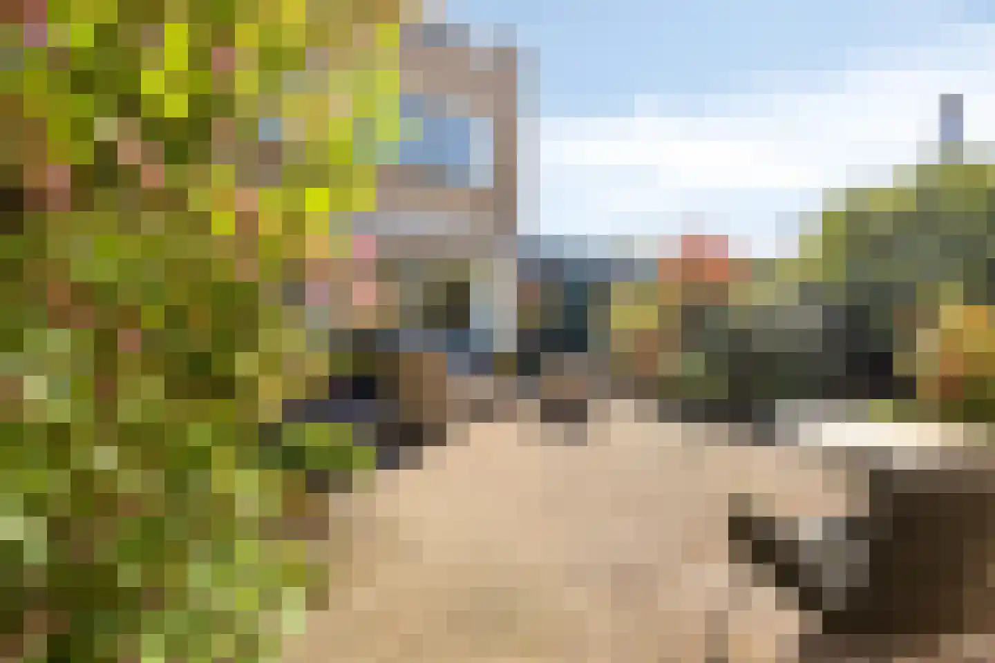 Mauritsstraat 10 Zoeterwoude thumbnail 11