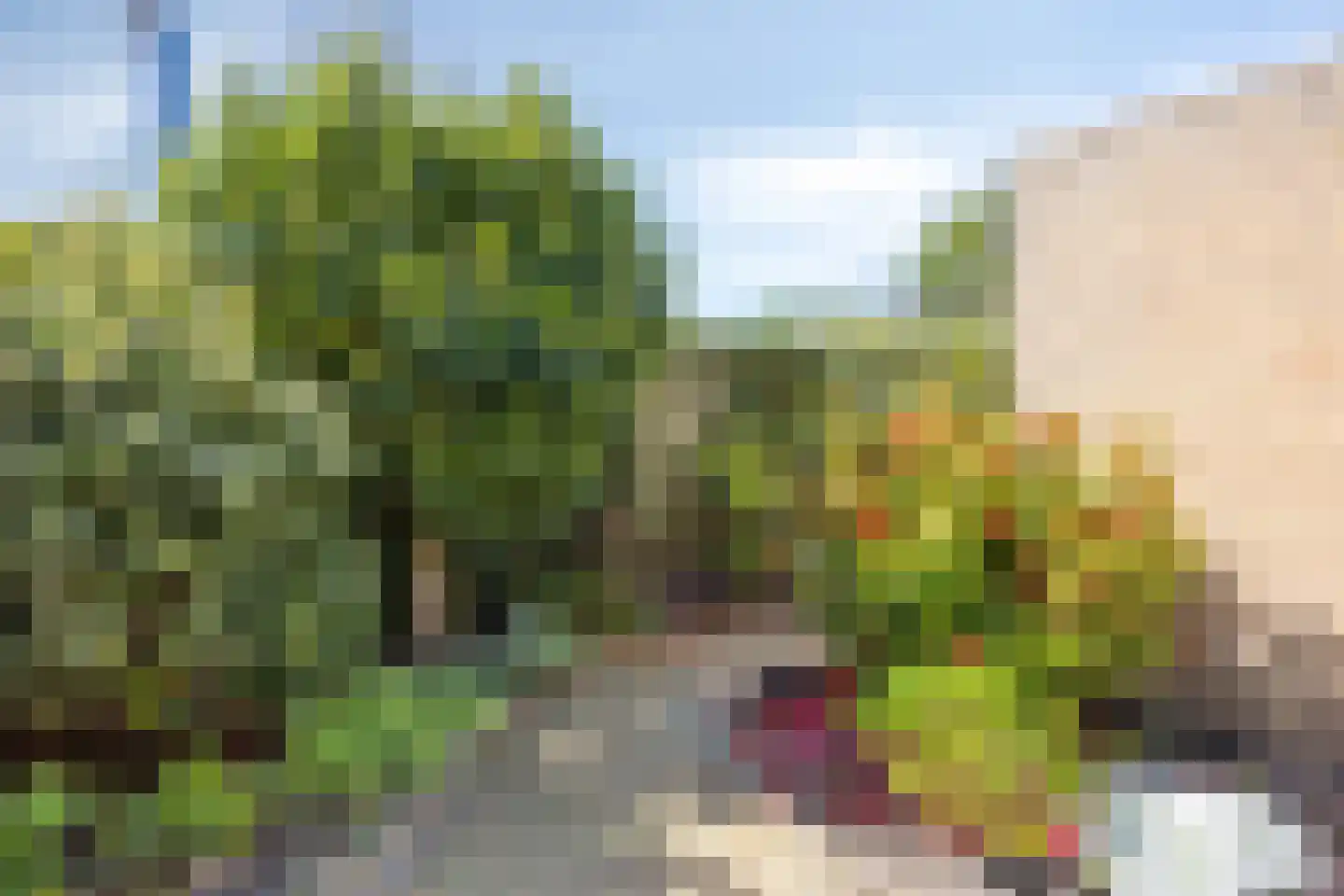 Mauritsstraat 10 Zoeterwoude thumbnail 12