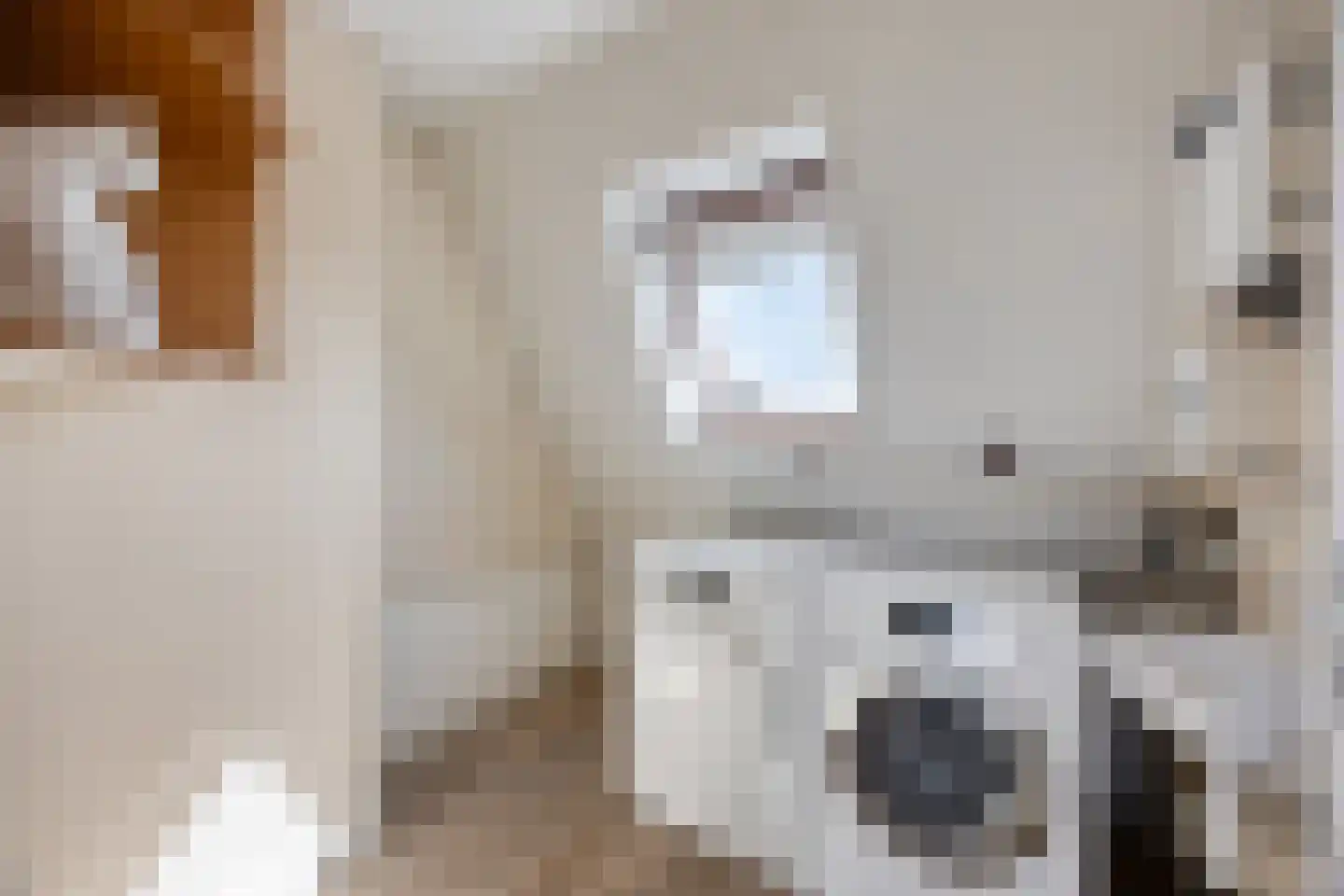 Mauritsstraat 10 Zoeterwoude thumbnail 27