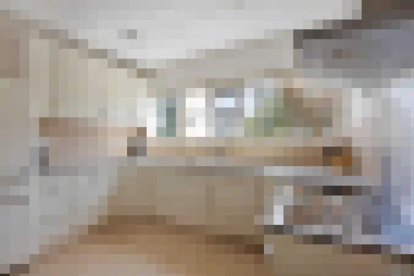 Mauritsstraat 10 Zoeterwoude thumbnail 6