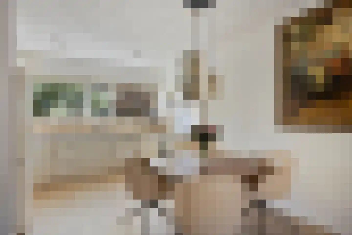 Mauritsstraat 10 Zoeterwoude thumbnail 7