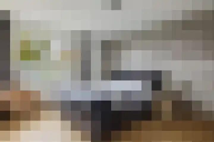 Mauritsstraat 11 Rijsbergen thumbnail 5