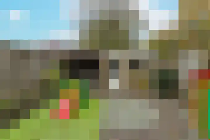 Mauritsstraat 11 Rijsbergen thumbnail 6