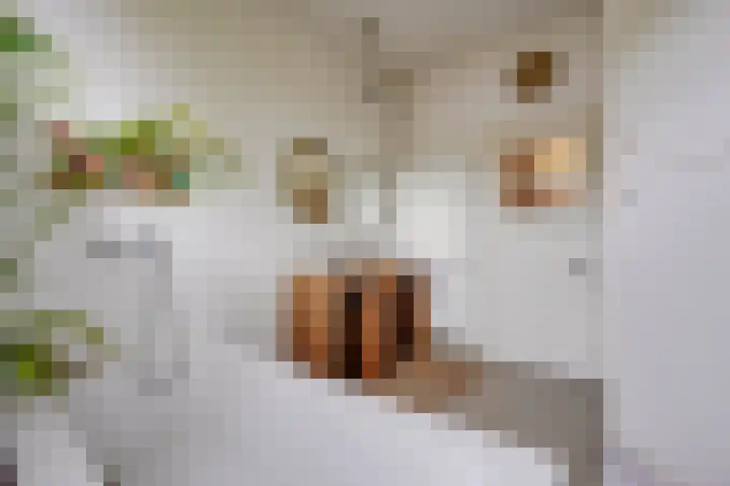 Mauritsstraat 117 Utrecht thumbnail 47
