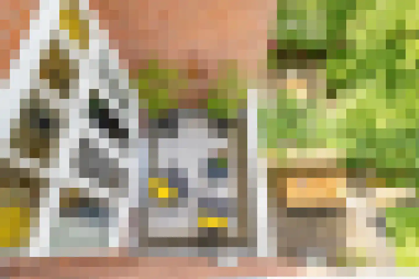 Mauritsstraat 117 Utrecht thumbnail 68
