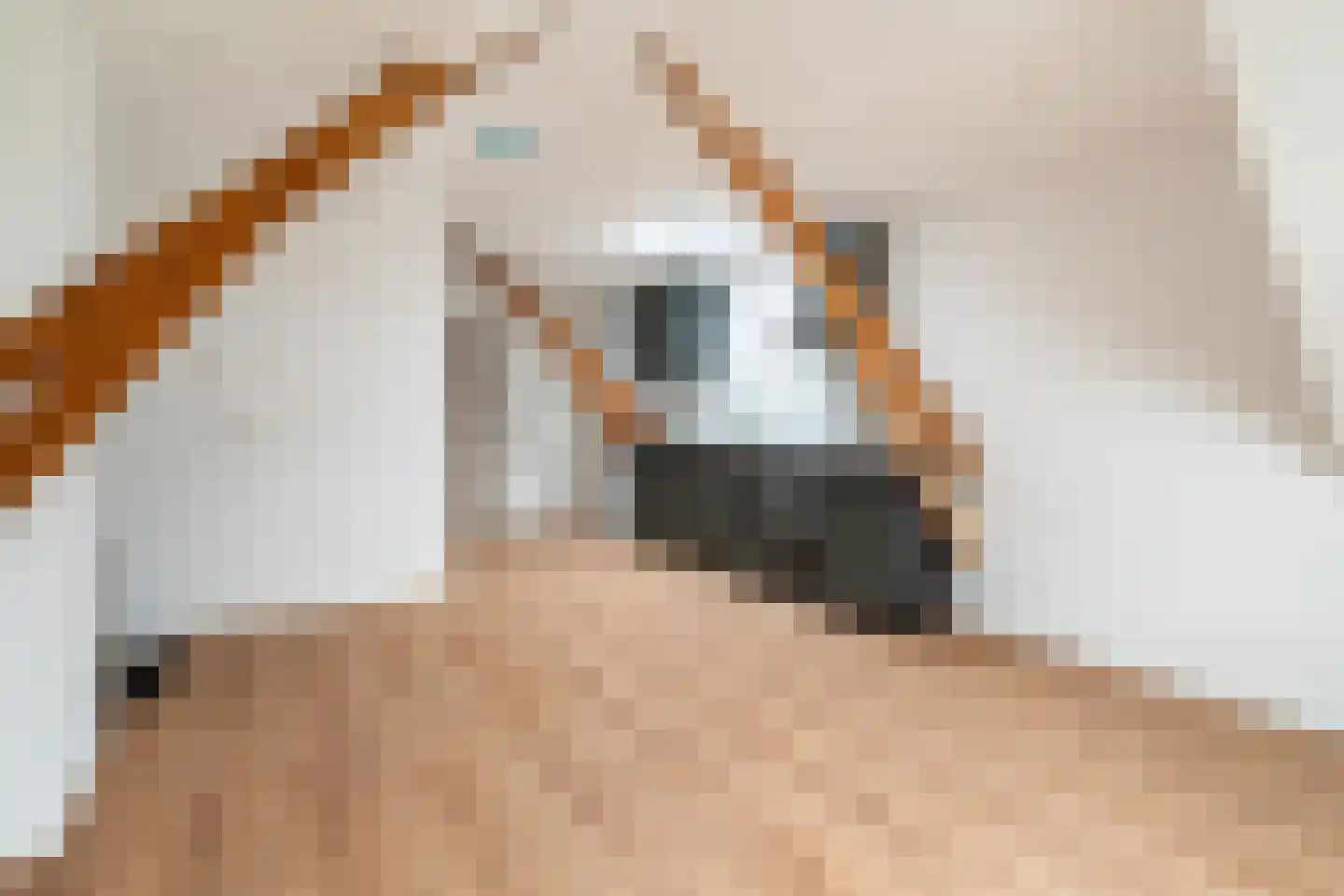 Mauritsstraat 12 B Leiden thumbnail 6