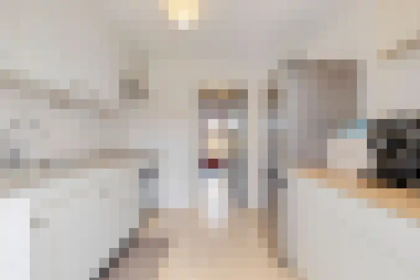 Mauritsstraat 12 Noord-Scharwoude thumbnail 28