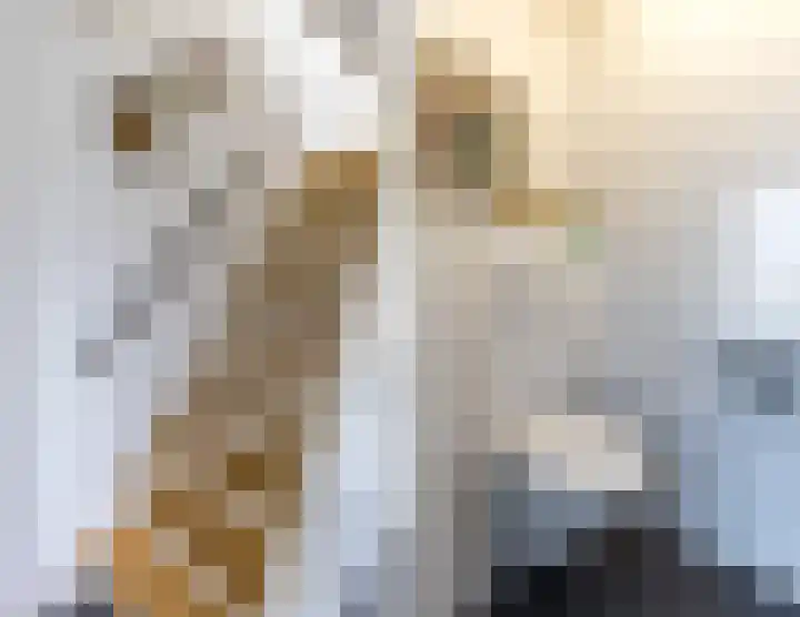 Mauritsstraat 12 't Zand thumbnail 10