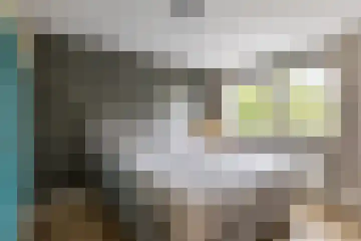 Mauritsstraat 12 't Zand thumbnail 12