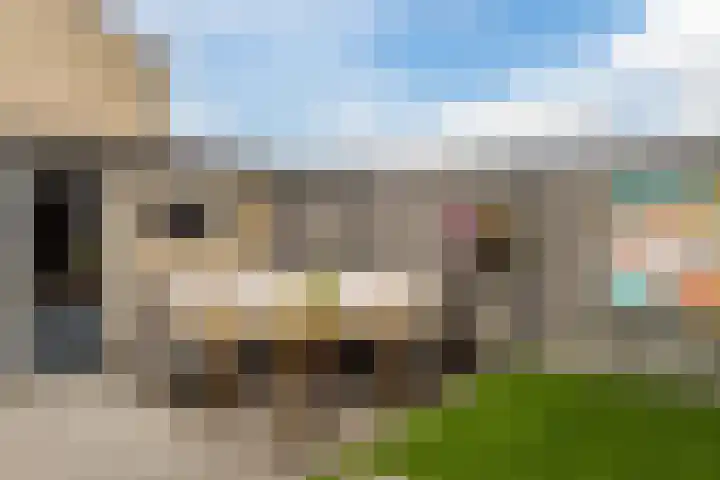 Mauritsstraat 12 't Zand thumbnail 20