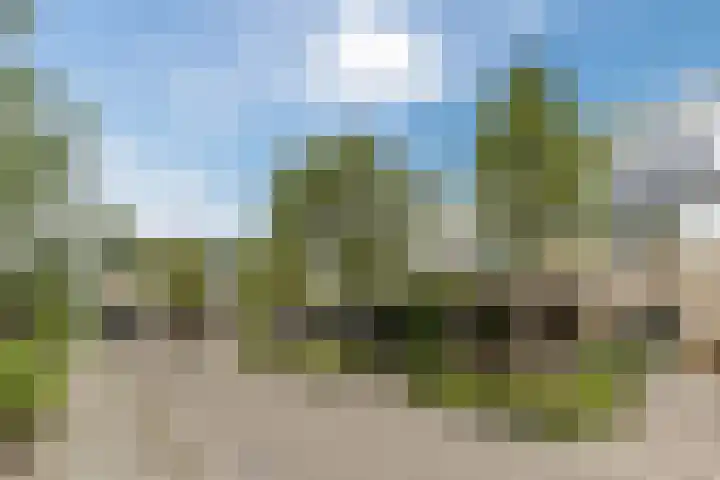 Mauritsstraat 12 't Zand thumbnail 23