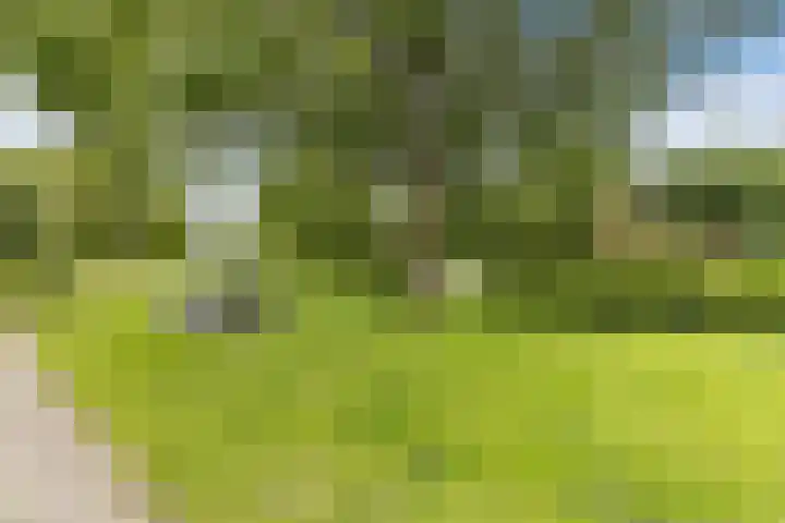 Mauritsstraat 12 't Zand thumbnail 25