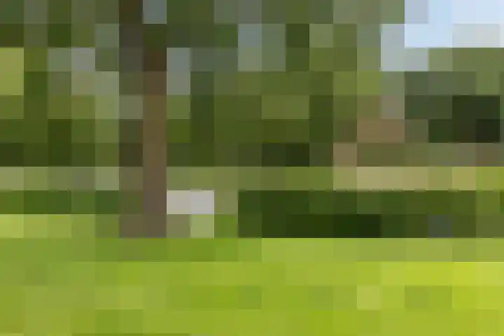 Mauritsstraat 12 't Zand thumbnail 26
