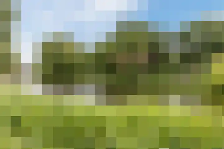 Mauritsstraat 12 't Zand thumbnail 27