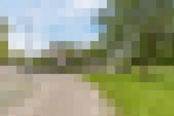 Mauritsstraat 12 't Zand thumbnail 28
