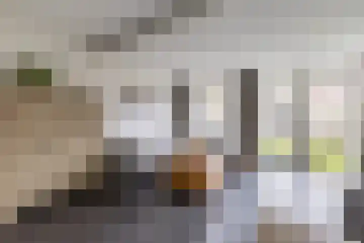 Mauritsstraat 12 't Zand thumbnail 4