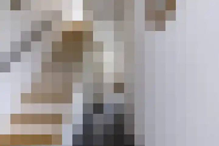 Mauritsstraat 12 't Zand thumbnail 9