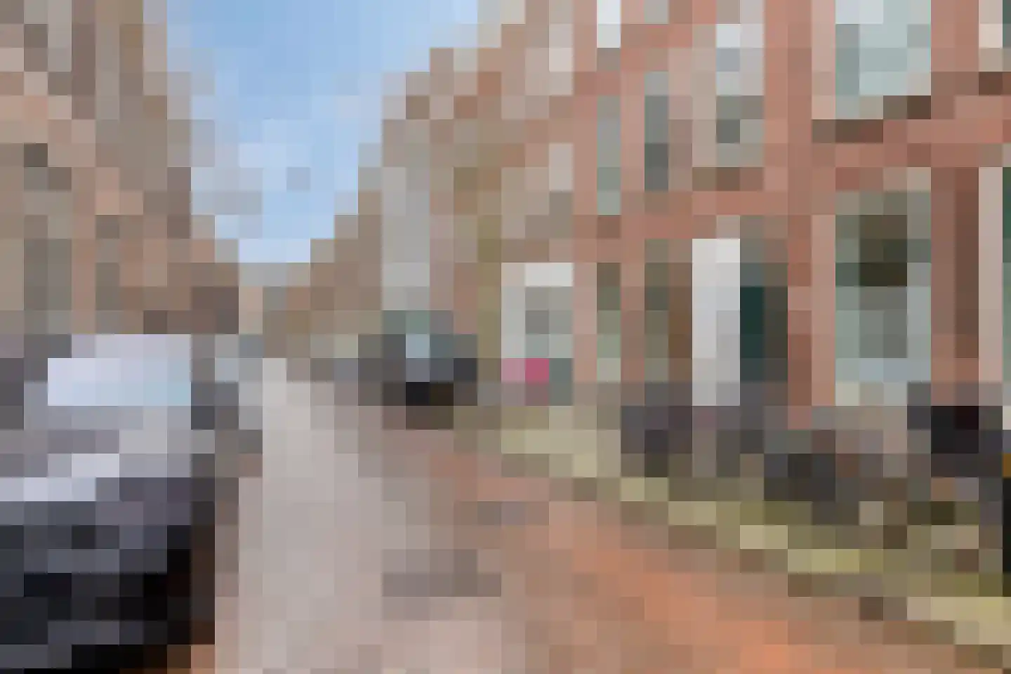 Mauritsstraat 139 A Rotterdam thumbnail 25