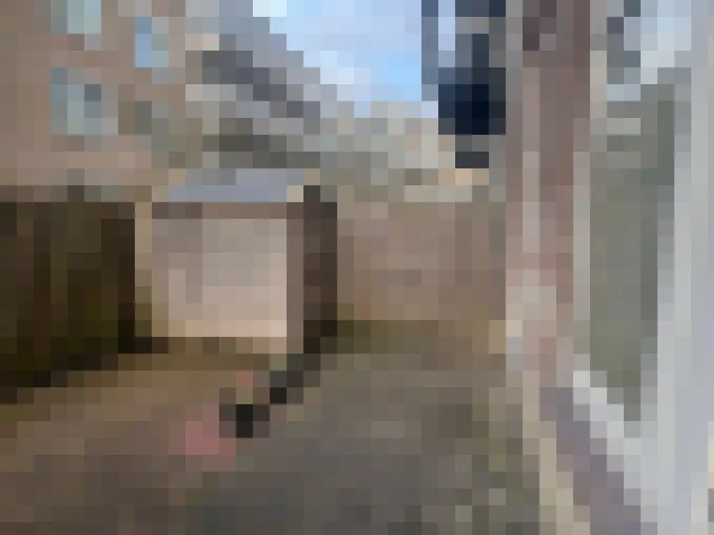 Mauritsstraat 139 B Rotterdam thumbnail 16