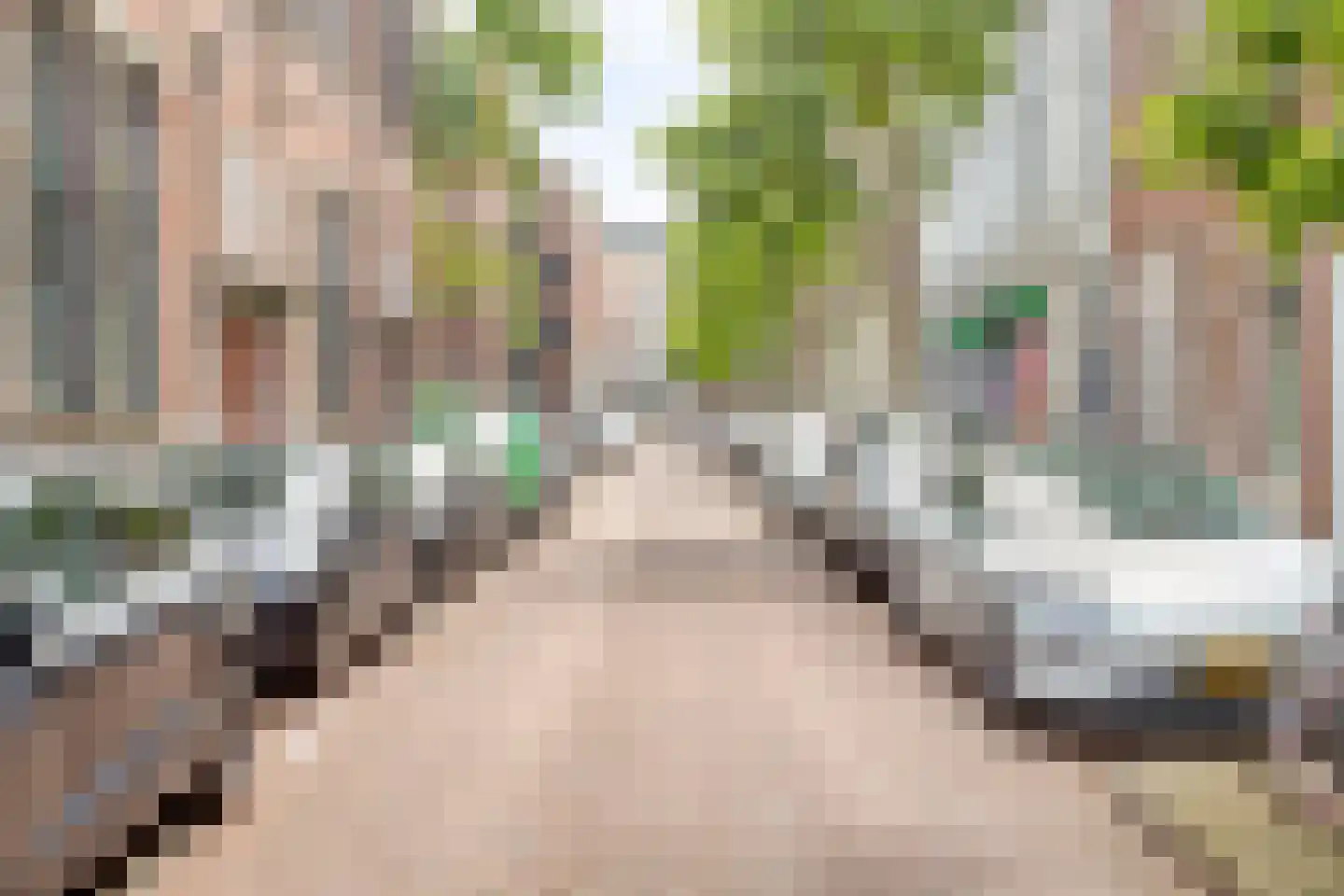 Mauritsstraat 139 B Rotterdam thumbnail 23