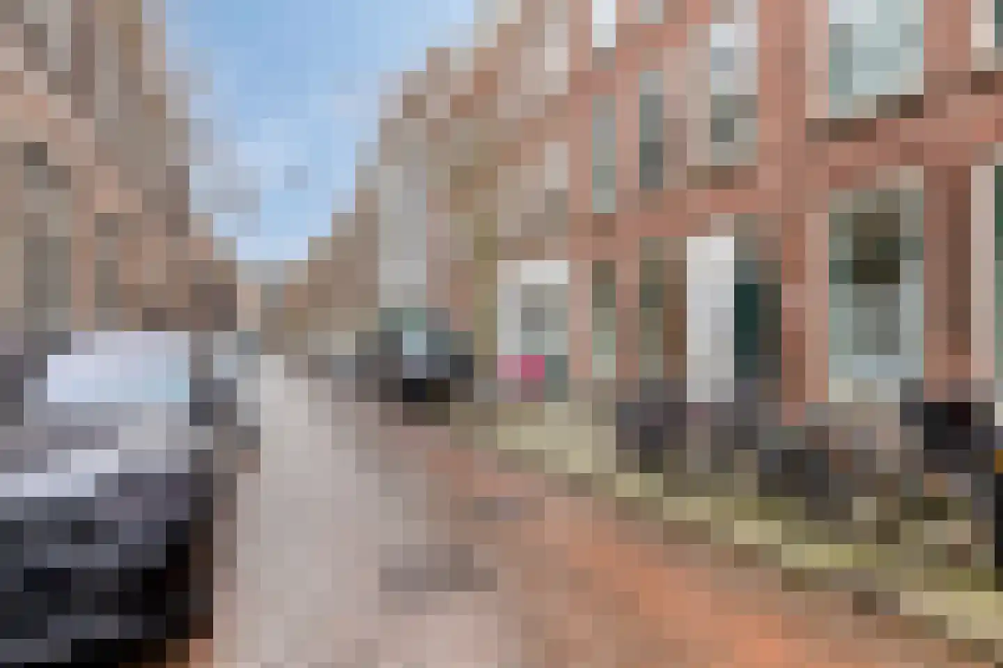 Mauritsstraat 139 B Rotterdam thumbnail 4