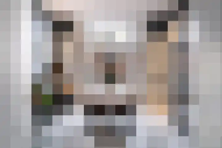 Mauritsstraat 14 BS Utrecht thumbnail 14