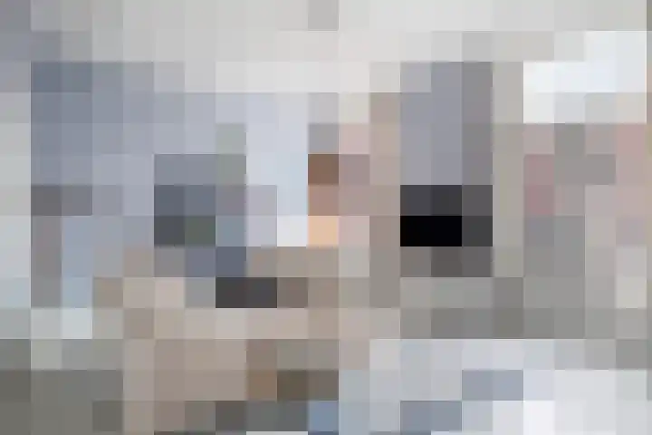 Mauritsstraat 14 BS Utrecht thumbnail 9