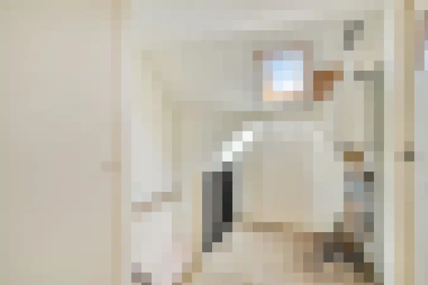 Mauritsstraat 14 Oosterhout thumbnail 15