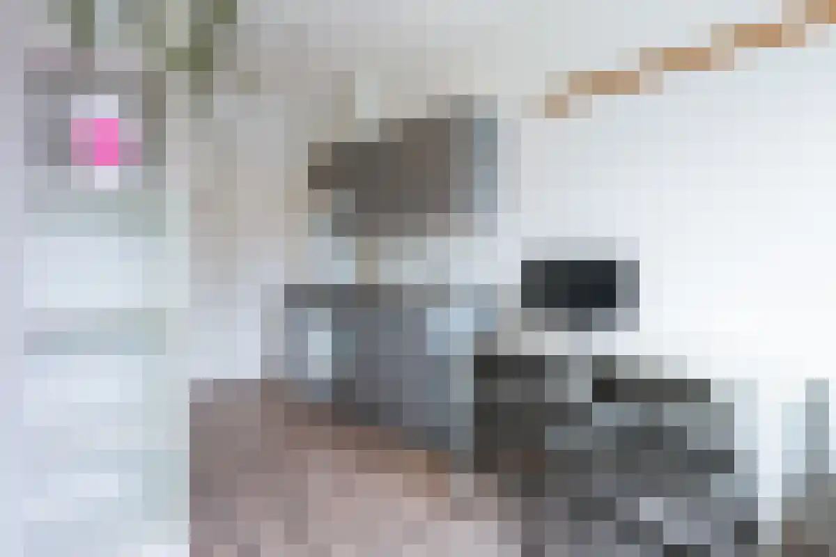 Mauritsstraat 158 Eindhoven thumbnail 5