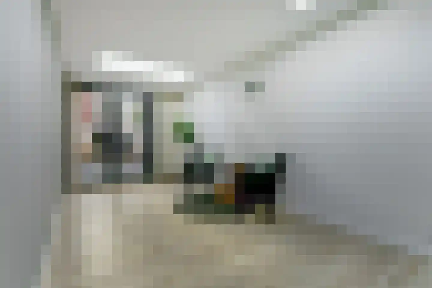 Mauritsstraat 16 Oosterhout thumbnail 16
