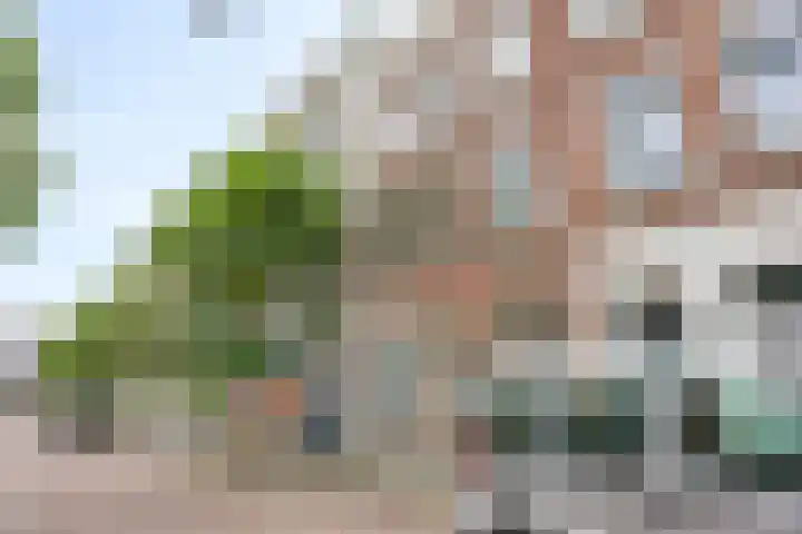 Mauritsstraat 165 Rotterdam thumbnail 29