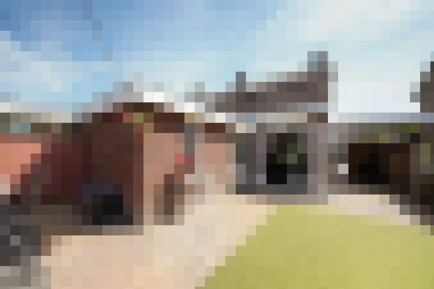 Mauritsstraat 17 Putten thumbnail 37