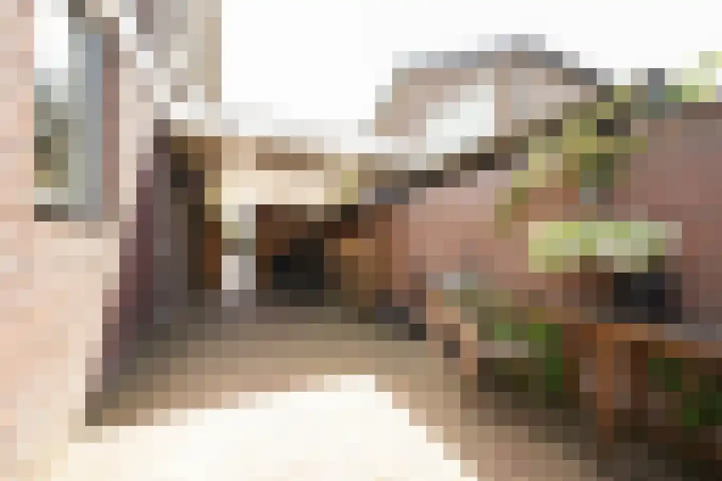 Mauritsstraat 17 Putten thumbnail 38