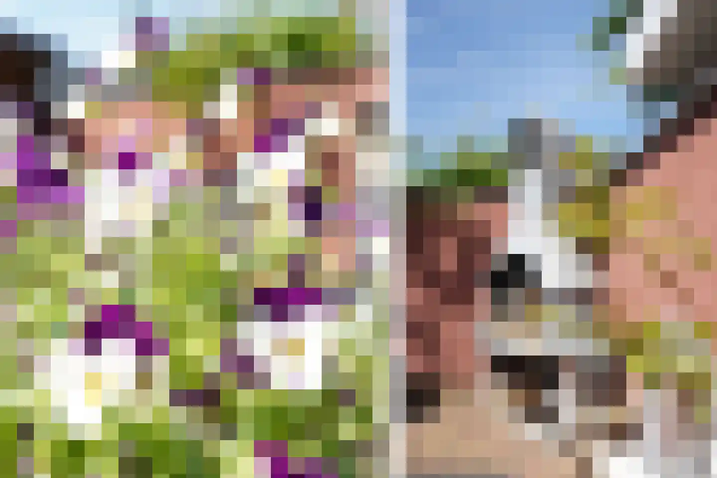 Mauritsstraat 17 Putten thumbnail 44