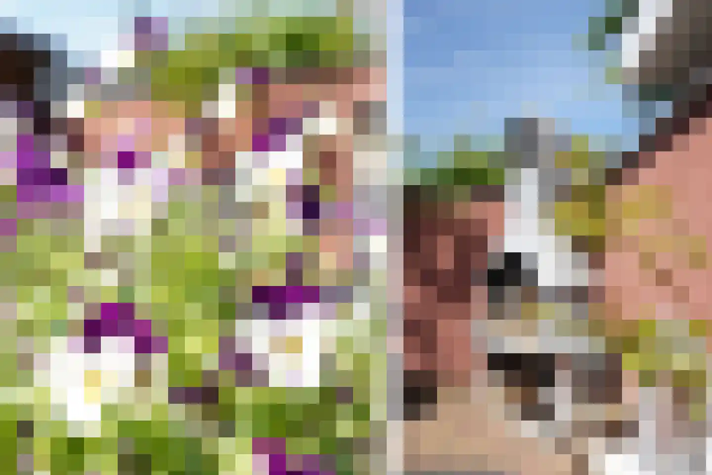 Mauritsstraat 17 Putten thumbnail 45