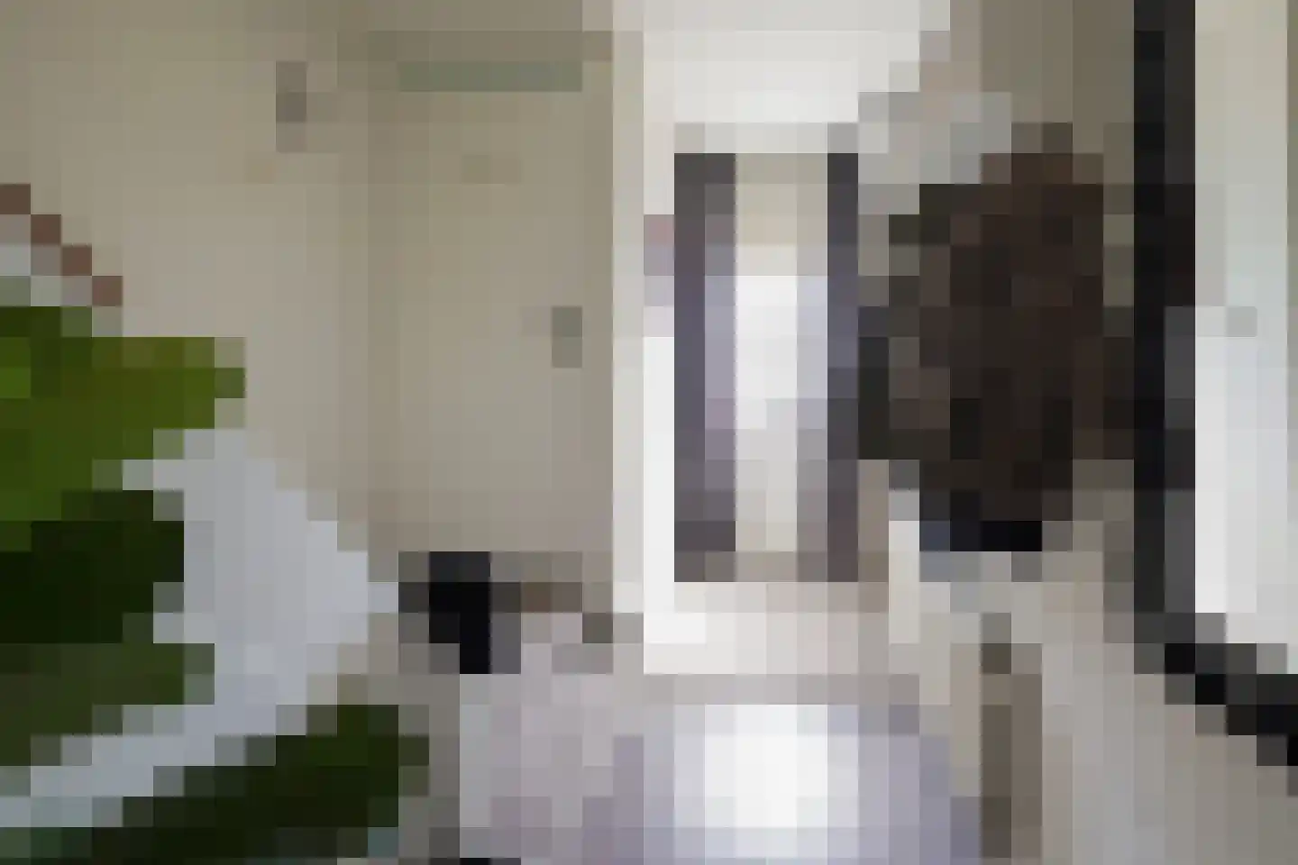 Mauritsstraat 17 Putten thumbnail 7