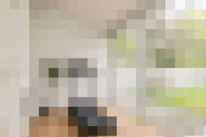 Mauritsstraat 18 Breda thumbnail 31
