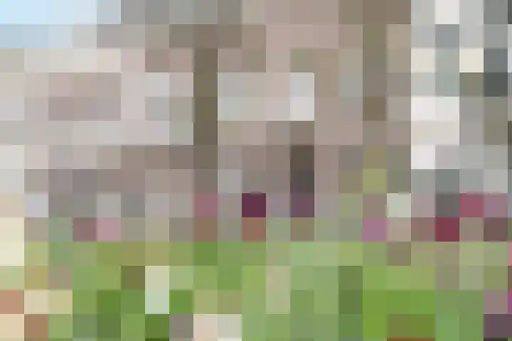 Mauritsstraat 18 Breda thumbnail 6