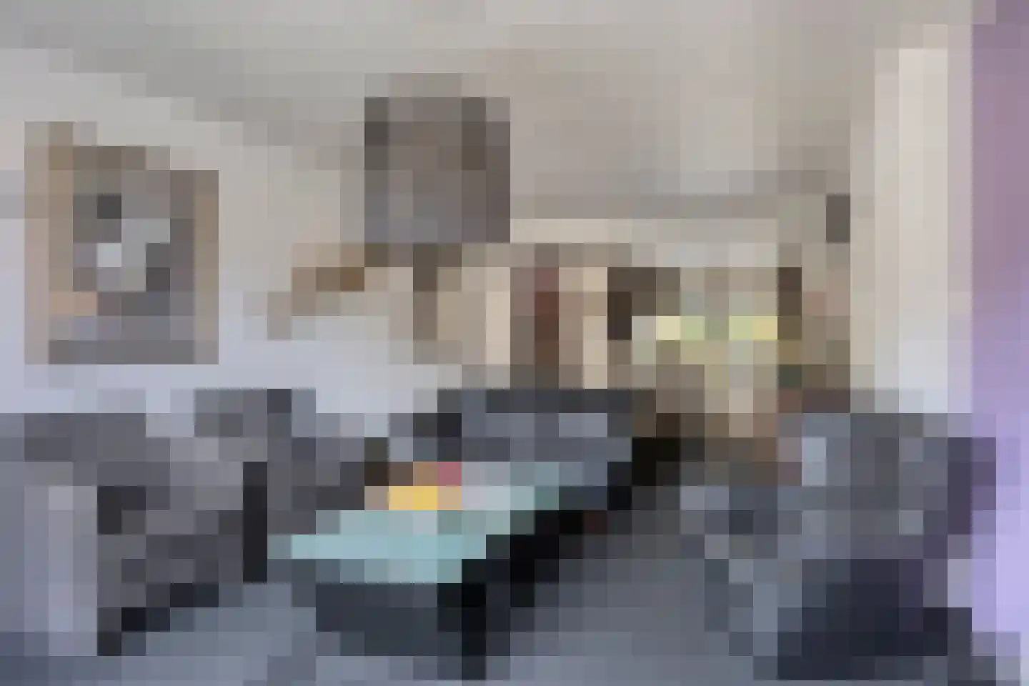 Mauritsstraat 18 Lith thumbnail 11