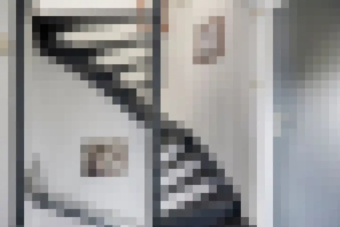 Mauritsstraat 18 Lith thumbnail 16