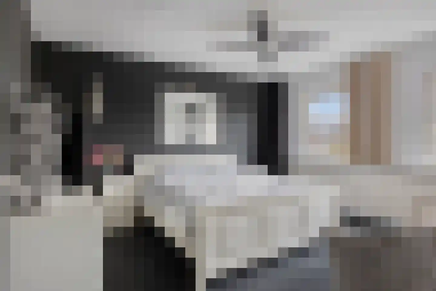 Mauritsstraat 18 Lith thumbnail 16