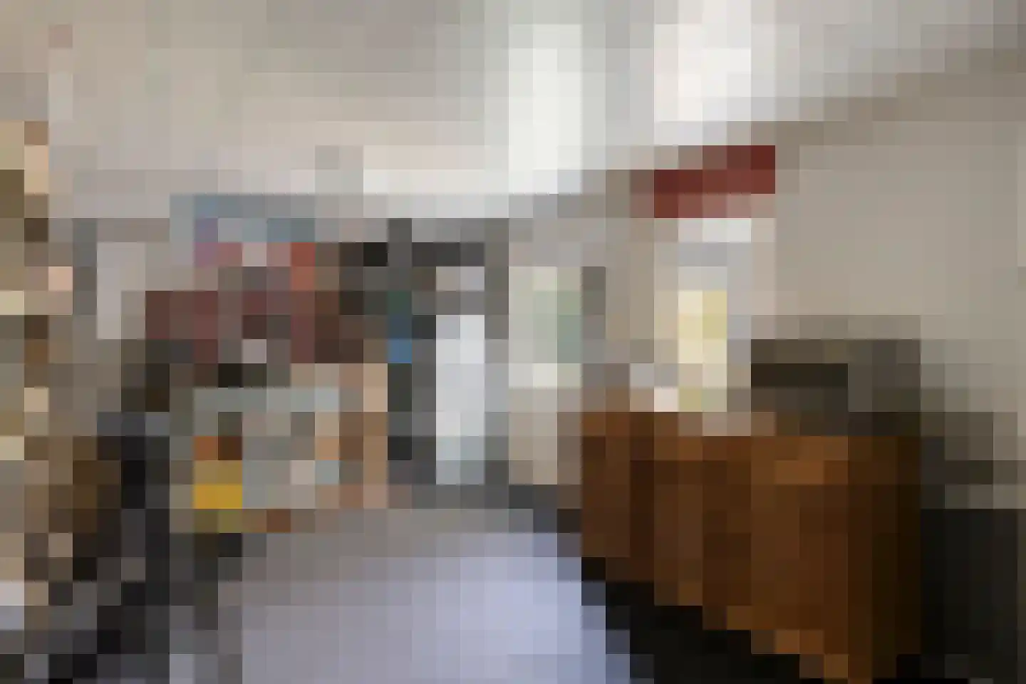 Mauritsstraat 18 Lith thumbnail 28