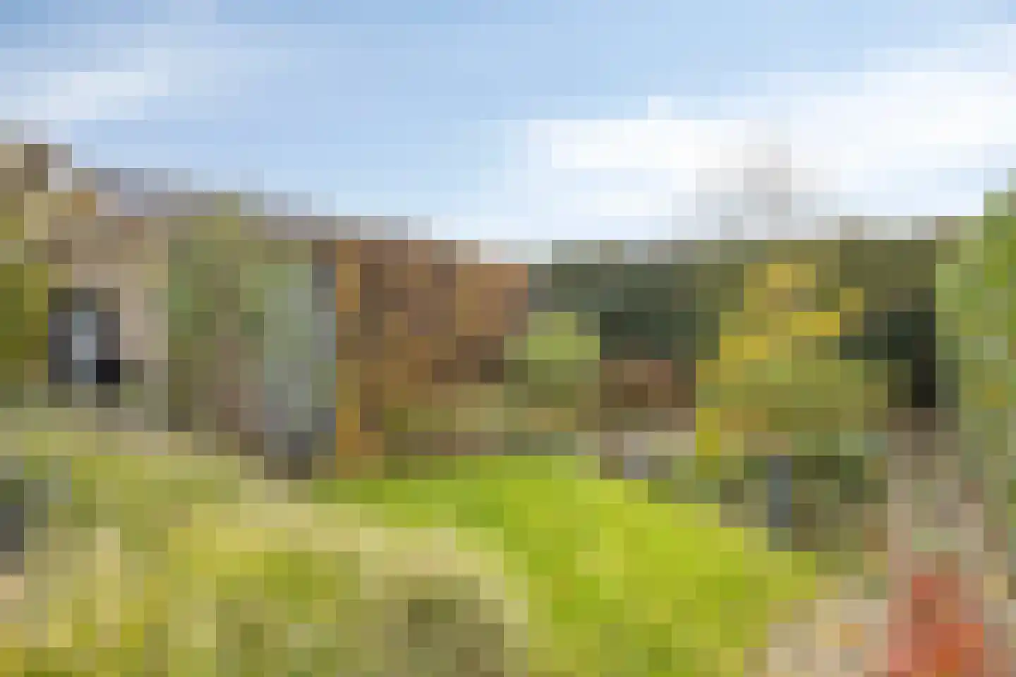 Mauritsstraat 18 Lith thumbnail 31