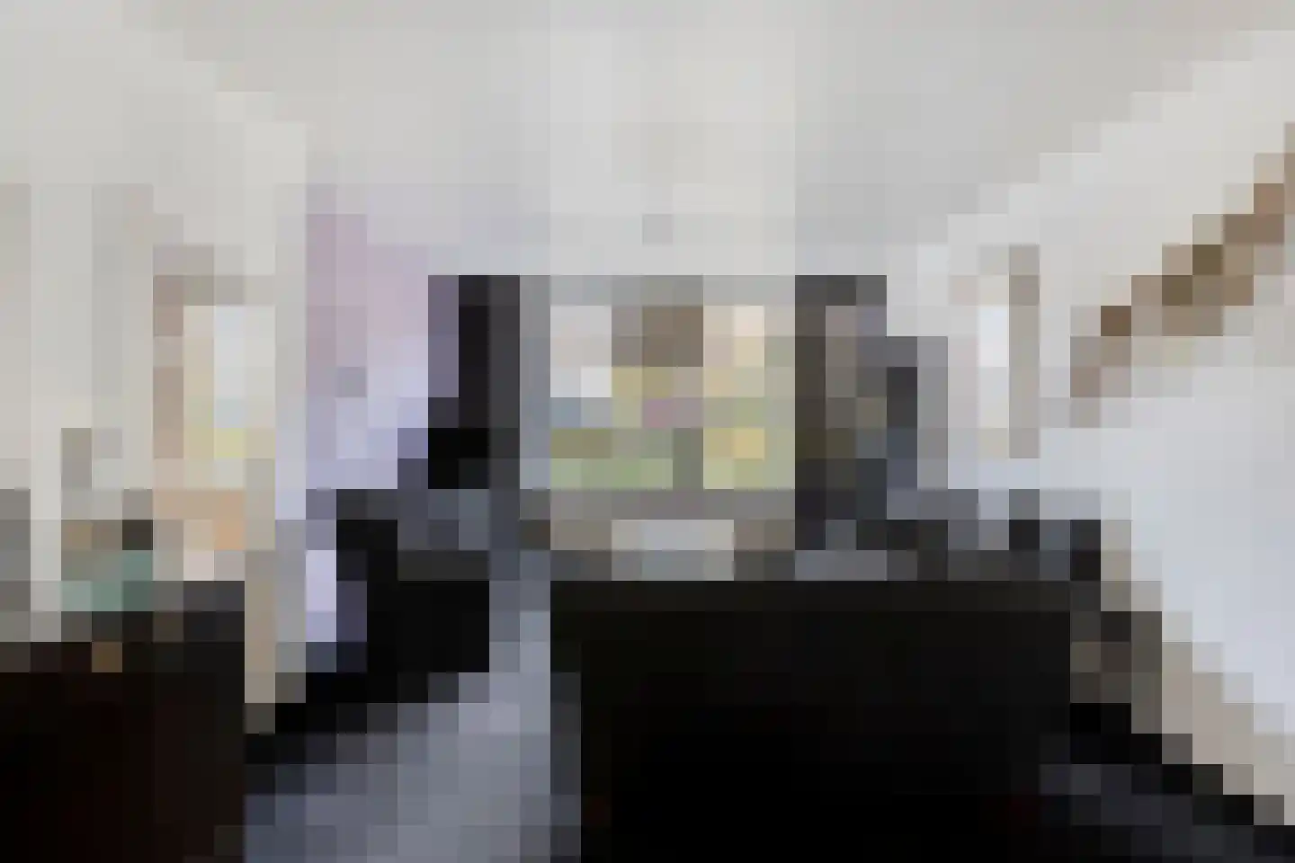 Mauritsstraat 18 Lith thumbnail 9