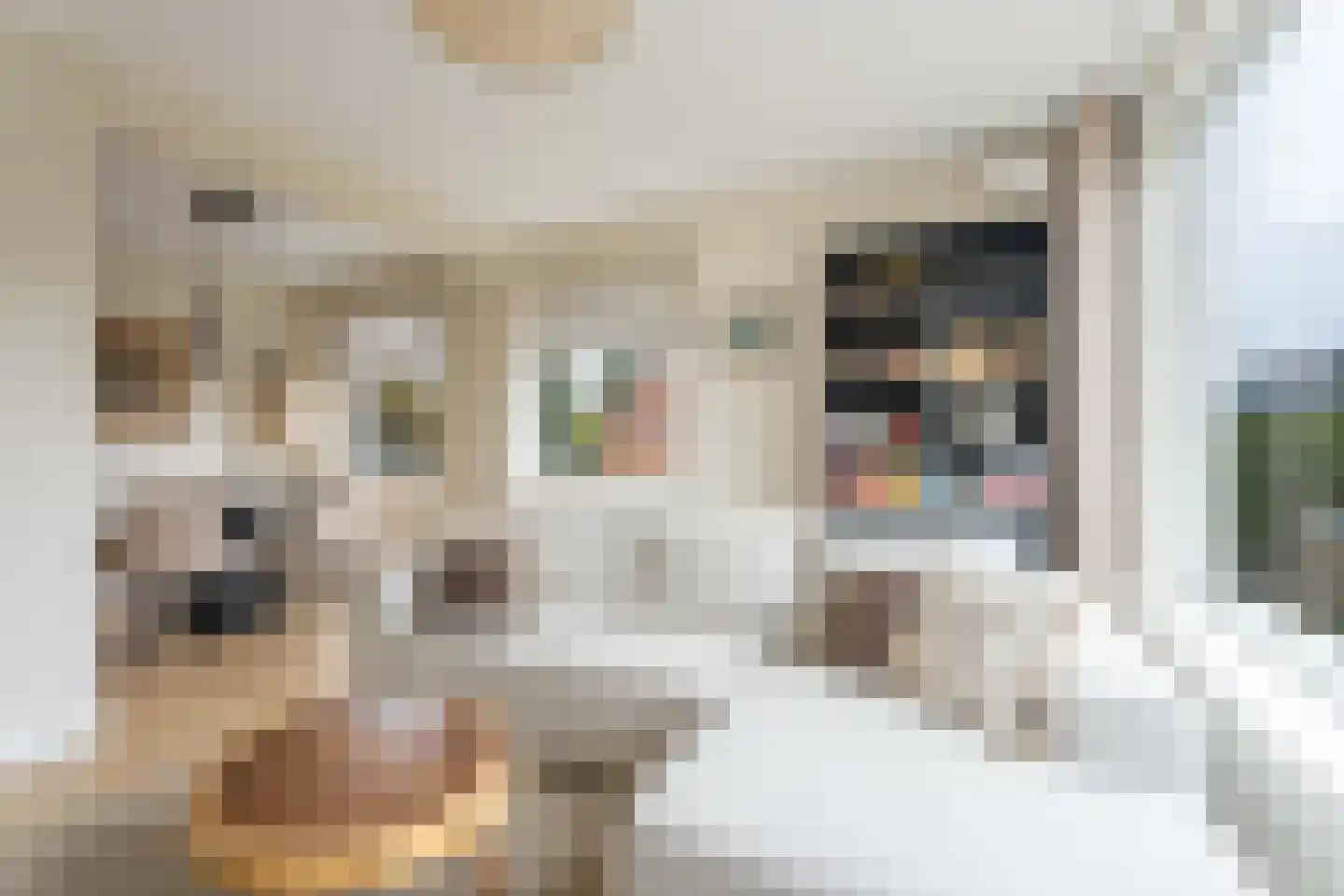 Mauritsstraat 19 Voorhout thumbnail 14