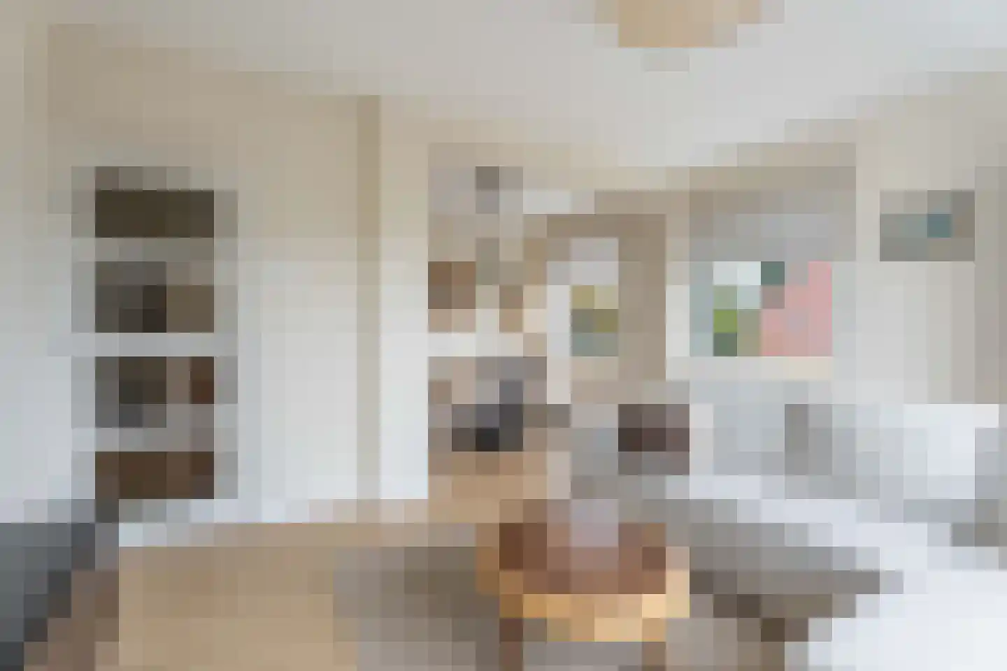 Mauritsstraat 19 Voorhout thumbnail 15