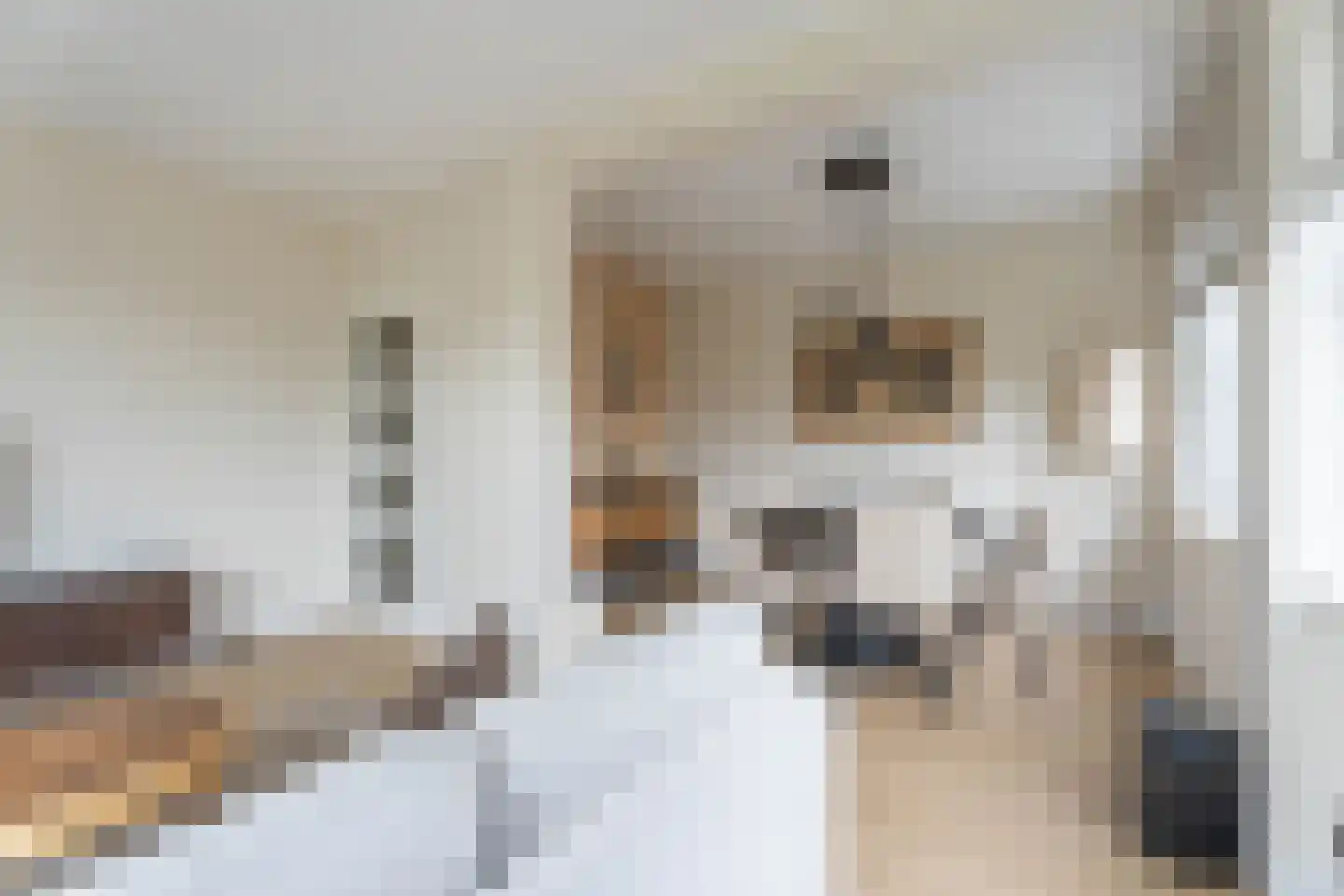 Mauritsstraat 19 Voorhout thumbnail 17