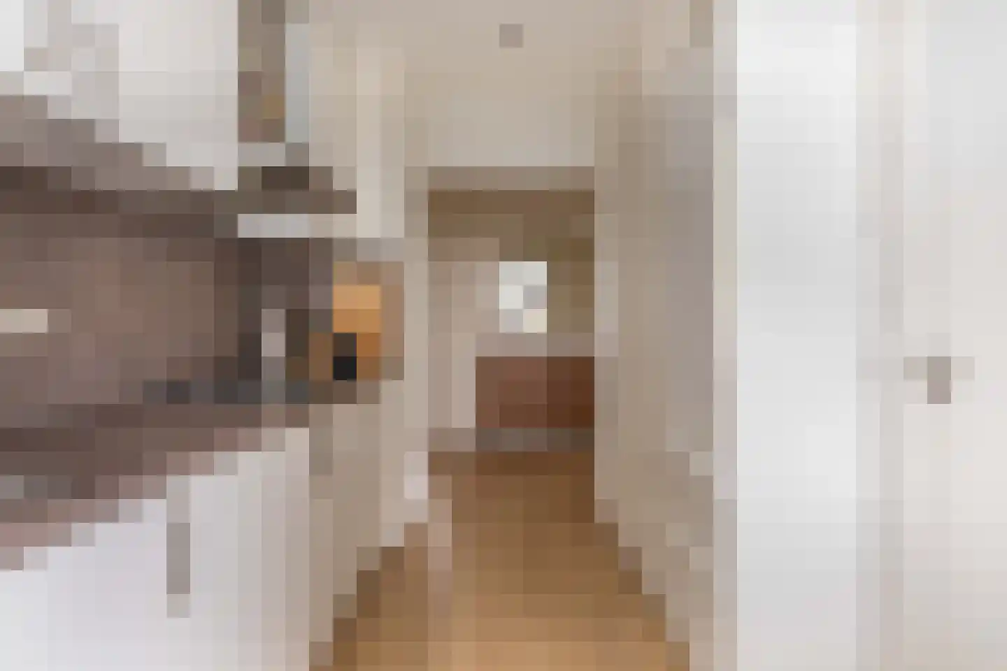 Mauritsstraat 19 Voorhout thumbnail 21